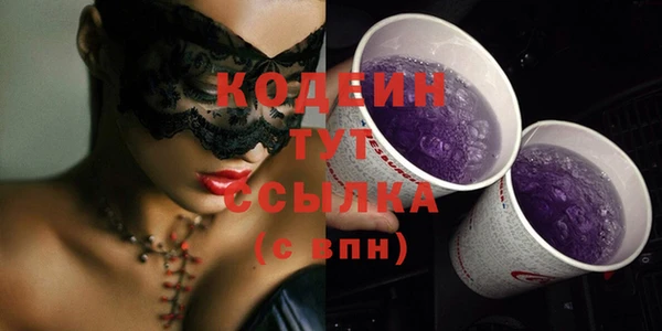 мдпв Верхний Тагил