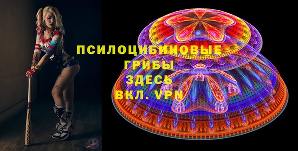 мдпв Верхний Тагил