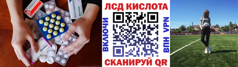 ЛСД экстази ecstasy  Новоржев 