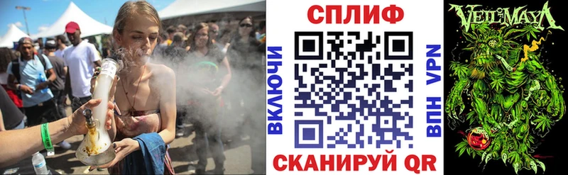 дарнет шоп Новоржев Шишки марихуана гибрид